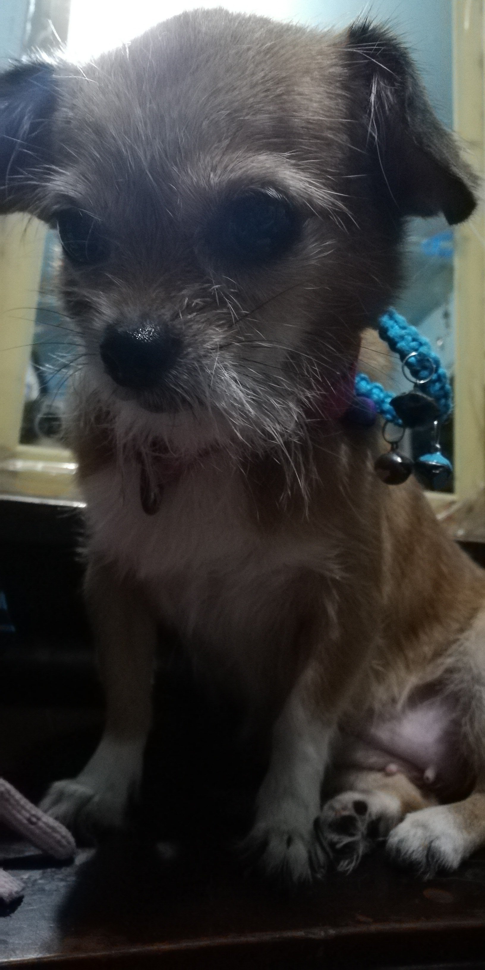 sarimanok325's profile picture. 