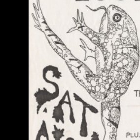 CBronzeson's profile picture. #MAHA2024