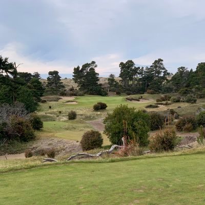 paulsand07's profile picture. 