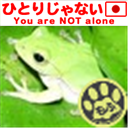 Schlegel_frog's profile picture. プチデータサイエンティスト+αやってます。極度の人見知りなので、リアルではそっとしておいてください。