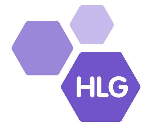 HLG (registered charity) support & represent voluntary sector organisations working with people who are homeless or vulnerably housed across Nottinghamshire.