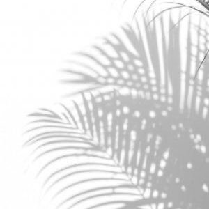 visualreading's profile picture. “el arte es lo mejor” 🤍