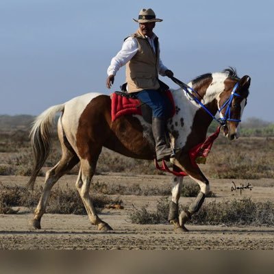 Proud to be a Hindu 🚩We are Pioneer of horse safari in Greater Rann of Kutch