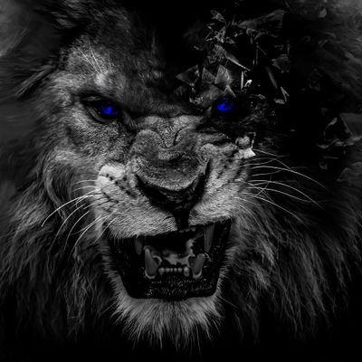 •خُـــب حالـٰـا تَهِـــــــش کِہ چے🔍🧐
💙
#کاکتوسـ🌵