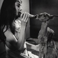 Najd (@najdalr_) 's Twitter Profile