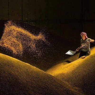 JamesL01649861's profile picture. Trader