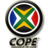 YourCOPE's profile image