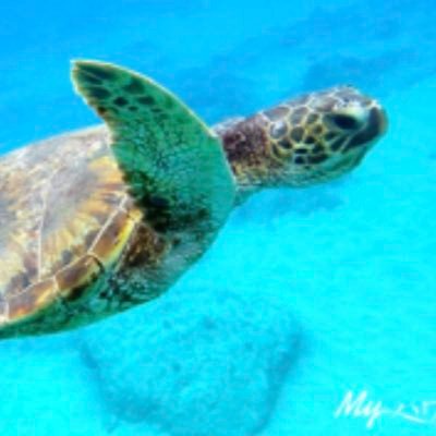 giftRikuball's profile picture. 京都生まれの今は大阪人。カープ、岩谷麻優選手、向後桃選手、日本酒とおいしいものが好きな垢。日常もつぶやきます。無言フォロー失礼します。