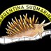 Argentina submarina (@argentinasubma1) Twitter profile photo Argentina submarina (@argentinasubma1) Twitter profile photo