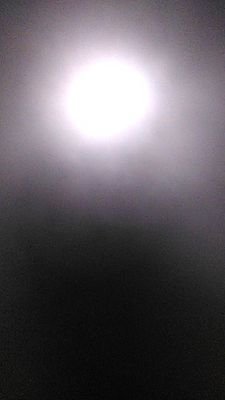ChlydeCl's profile picture. 