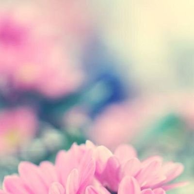 shabangmino's profile picture. Only U LMH.