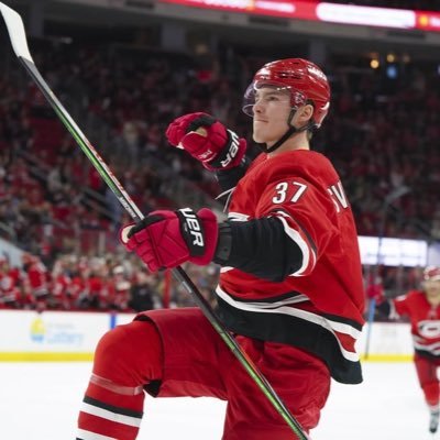 Andrei Svechnikov Profile