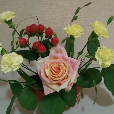 アゼリア そんななの アゼリア そんななの