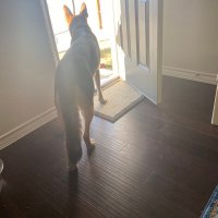 Anita (@texasbrit13) 's Twitter Profile