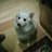 YUKA WAKABAYASHI ❤️ Memecoin's Twitter (X) avatar