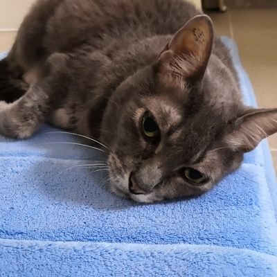 YwkWinnie's profile picture. 