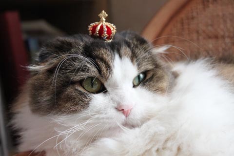 tama_haha's profile picture. 