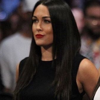 Brianna Monique Garcia-Colace, better known as Brie Bella, is one half of the Bella Twins, a former Divas champion and a WWE HOFer. Fear the Brie mode! (parody)