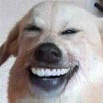 Madsen188's profile picture. 