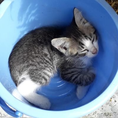 nofrian95's profile picture. 