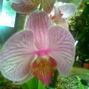 SAUL CAMPOS - @gesconc - Twitter