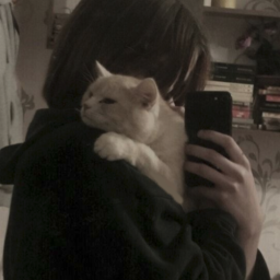 HonkyySama's profile picture. :D j'aime les grenouilles