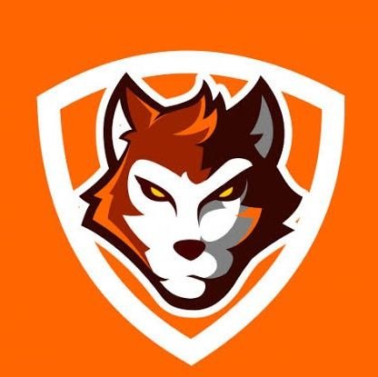 Perfil Oficial do Sport Club Lobo Laranja 🇧🇷⚽ Clube de Futebol de Rio das Pedras-SP