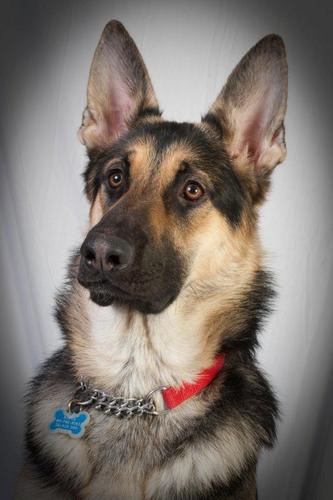 sarlab38's profile picture. 