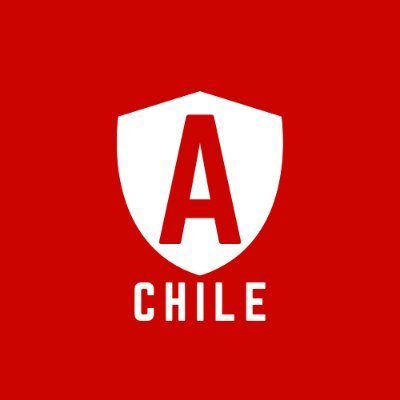 FUNDACIÓN ACTIVANDO CHILE es una organización constituida sin ánimo de lucro, que tiene como pilar fundamental promover el fortalecimiento de la sociedad.