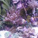 Matt Basile - @mbasilefishguy - Twitter