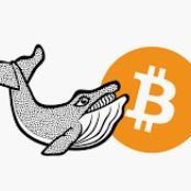 whale_girl_10x's profile picture. In search for a new moon project.