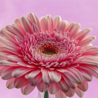 宅ミ月◎無言取引⭕️ID番号　です⭐︎ 🔅 (@aaizoinby) / X