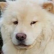 JLance776's profile picture. https://t.co/HCUGOSxvZ9 Come say Hi!
Life could be worse