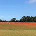 Alun Davies (@activesuffolk) Twitter profile photo Alun Davies (@activesuffolk) Twitter profile photo