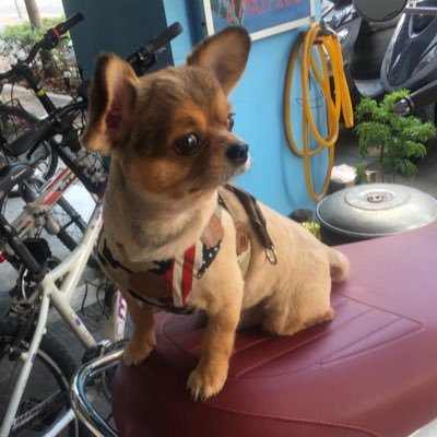 在家待不住，愛到處走走逛逛！ 喜歡跑步與騎車！