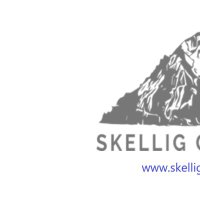 Skellig Consulting Limited(@SkelligComm) 's Twitter Profile Photo