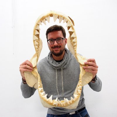 PhD student in ecology and evolution @univienna. Using molecular, morphological and fossil data in a combined approach to examine trait evolution in sharks  🦈