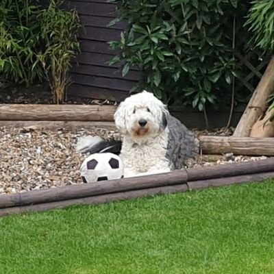 IanSimm54535513's profile picture. Enjoying early retirement.