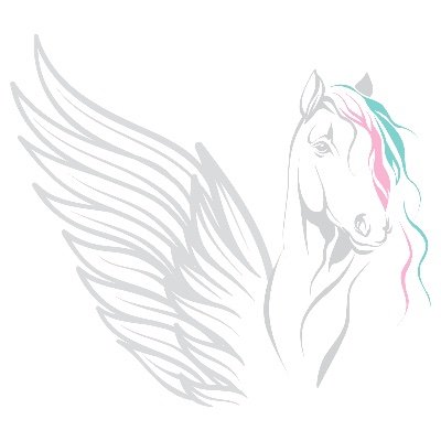 s1equestrian's profile picture. SAFETY FIRST EQUESTRIAN - distributors of Safe Riding Stirrups, the safest stirrups on the market.