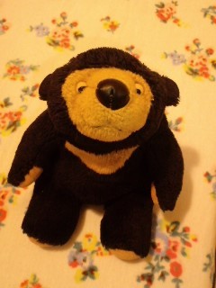 ⭐️ くまこです くまこ (@kumaco38) / Posts / X