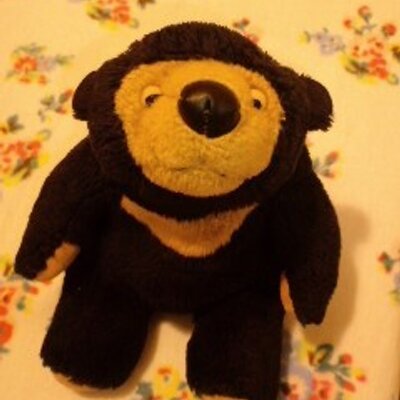 くまこ (@kumaco38) / Posts / X