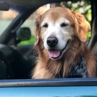 Matt Gagne (@gagnewest) 's Twitter Profile