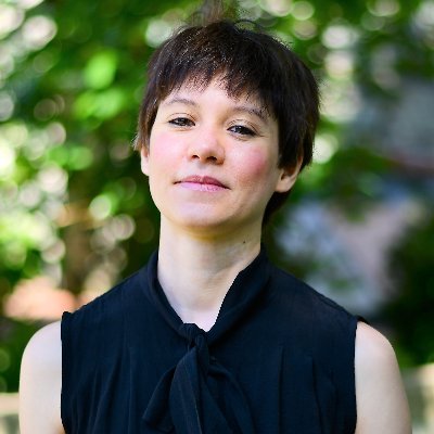 mpg_guimaraes's profile picture. Ph.D. Candidate | Politecnico di Milano |
Research Associate | Soloclim Programme