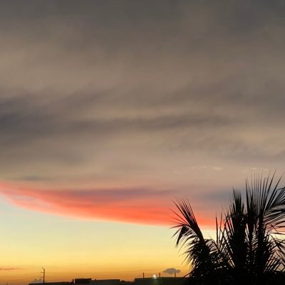 Canwefulfill's profile picture. Adventurous