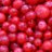 GCR_Lab's profile image