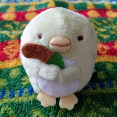 こんこんぶる🥒さんのプロフィール画像
