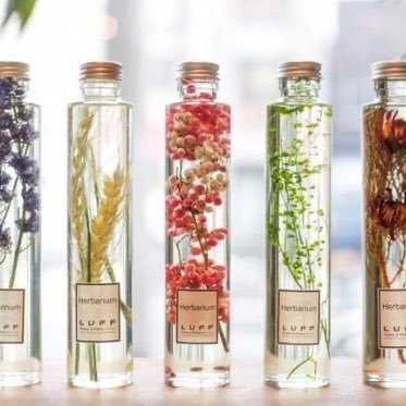 Shiroineko_r's profile picture. 🙋🏻‍♀30代後半👶🏻🎂2021年3月💻フルタイム復職✨タメ口OK🙆🏻‍♀気軽にリプください🤗低浮上気味だけどなるべくお返事します😘返事無かったら見落としてるだけなので催促してください😇w