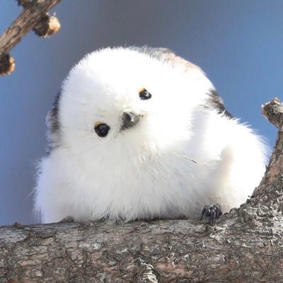 SMAPSMA89780080's profile picture. SMAPが新春かくし芸で空手を披露した時から頭の中がSMAPだらけになりました🌟 出産後からしばらくファンを離れていた時期もあったけれど、変わらず好きです🍀SMAP再結成を望んでいます✨