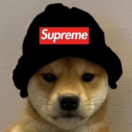 Matrix3017's profile picture. ꜱᴏᴄɪᴀʟꜱ:                                                                 -
Roblox User: BritishFang
Discord Tag🏷: BritishFang#9277