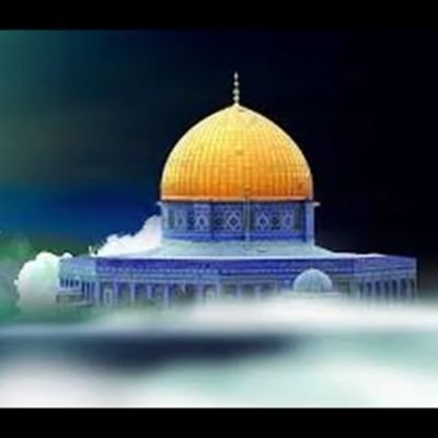 ‏‏‏‏يحب الخير للجميع ، يحب قول الحقيقة ولايرضى بالظلم ،مع المظلومين وضد الظالمين والمستبدين،  وحالم بغد أفضل 
‎#يجري_في_عروقه_حب_فلسطين❤🇵🇸